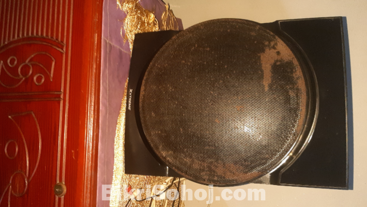 এক্সট্রিম স্পিকার